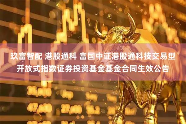 玖富智配 港股通科 富国中证港股通科技交易型开放式指数证券投资基金基金合同生效公告
