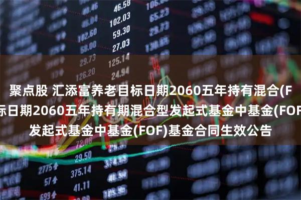 聚点股 汇添富养老目标日期2060五年持有混合(FOF) 汇添富养老目标日期2060五年持有期混合型发起式基金中基金(FOF)基金合同生效公告