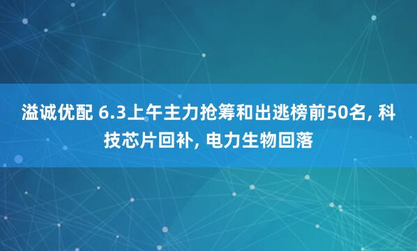 溢诚优配 6.3上午主力抢筹和出逃榜前50名, 科技芯片回补, 电力生物回落